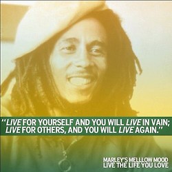 Photo Album - Bob Marley Positive Vibration